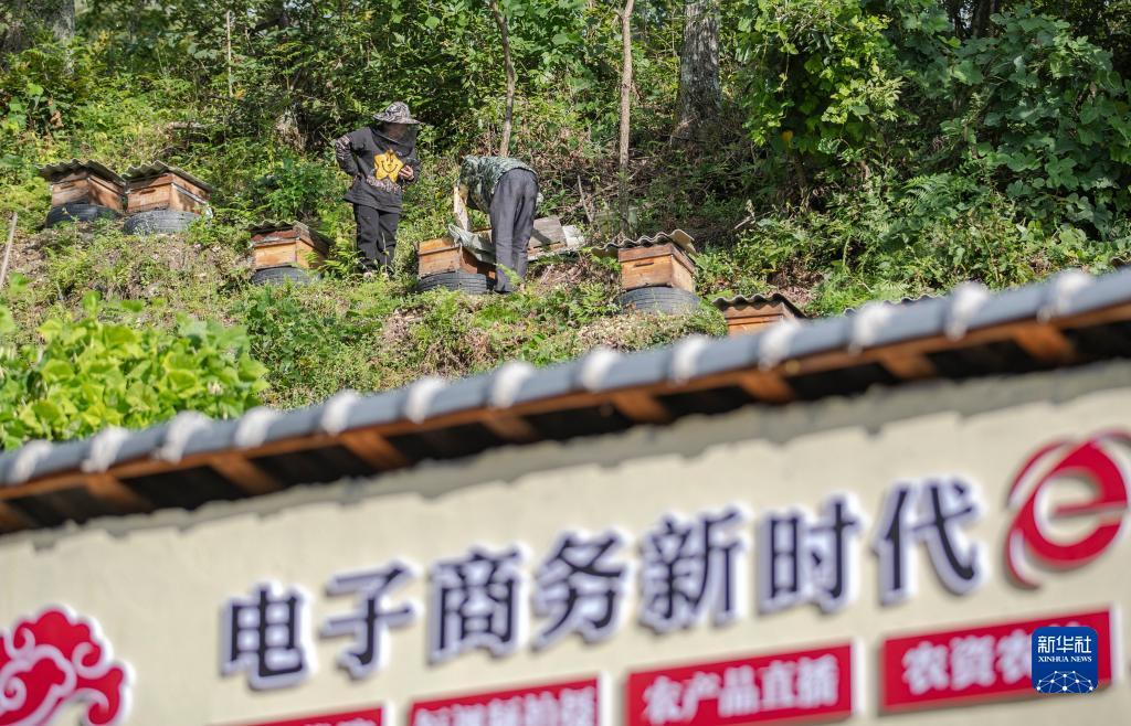 棋乐游戏下载